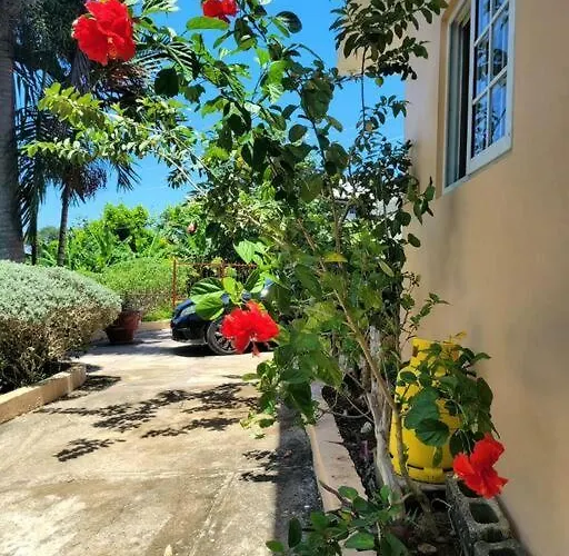 Sunbreeze - A Spacious, Homely * Ocho Ríos