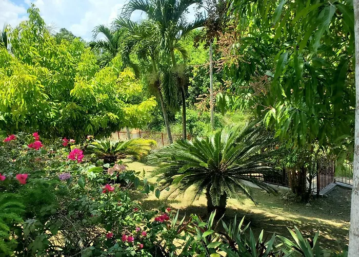 Sunbreeze - A Spacious, Homely * Ocho Ríos